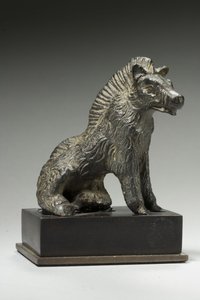 Wild boar, probably from Gaul